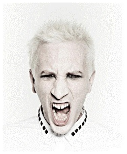   (Bertrand Grospellier)